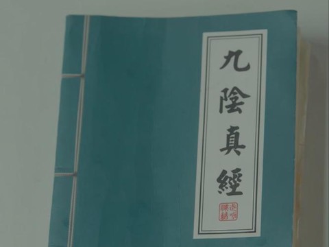 九阴真经几内是什么意思