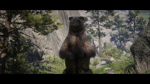 荒野大镖客狗熊怎么打[图1]