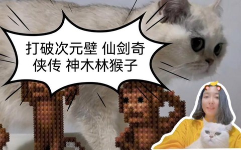 仙剑奇侠传猴子怎么过[图2]