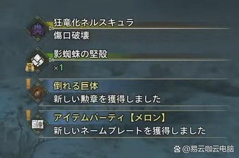 怪物猎人x怎么看版本[图2]