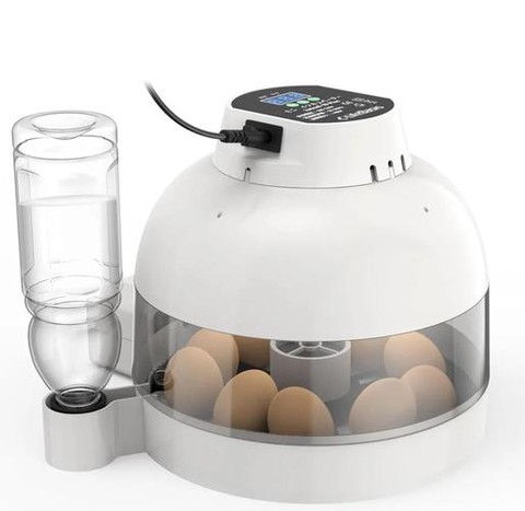 神奇宝贝孵蛋机怎么做