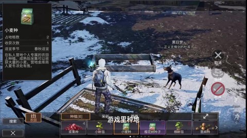 明日之后小麦有什么用