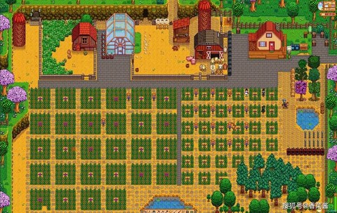 星露谷物语怎么养兔子