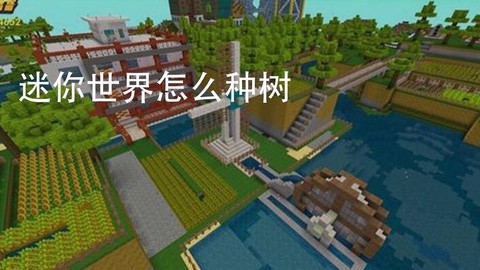 迷你世界中怎么种树