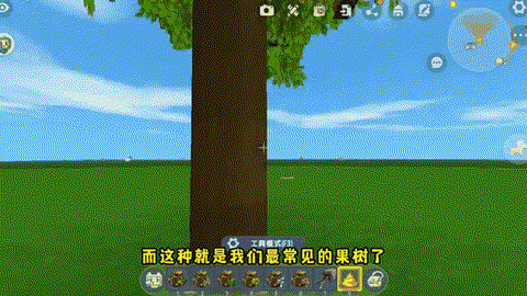 迷你世界中怎么种树[图2]